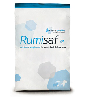 Rumisaf - Effective Digestion
